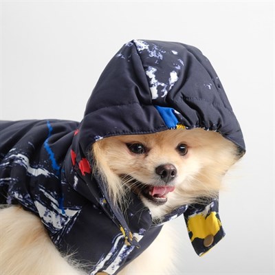 Куртка зимняя, L (ОШ 29-34, ОГ 41-47, ДС 31 см), синяя - фото 1312047