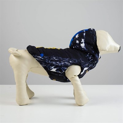 Куртка зимняя, XL (ОШ 32-35, ОГ 46-53, ДС 35 см), синяя - фото 1312052