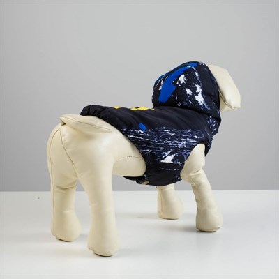 Куртка зимняя, XL (ОШ 32-35, ОГ 46-53, ДС 35 см), синяя - фото 1312053