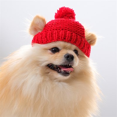 Вязаная шапочка с помпоном, M-L, объем головы 28 см, высота шапки 9 см МИКС - фото 1312257