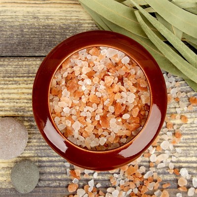 Испаритель с гималайской солью "Добропаровъ" - фото 1514708