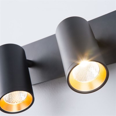 Светильник Fleur 10Вт LED черный, золото - фото 1607791