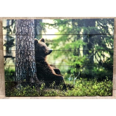 Картина для бани "Медведь в лесу", МАССИВ, 60×40 см - фото 1675740