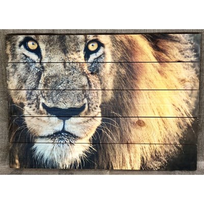 Картина для бани "Лев", МАССИВ, 60×40 см - фото 1675742