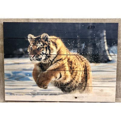 Картина для бани "Тигр", МАССИВ, 60×40 см - фото 1675744