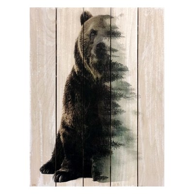 Картина для бани, тематика животные "Хозяин леса", МАССИВ, 40×30 см - фото 1675948