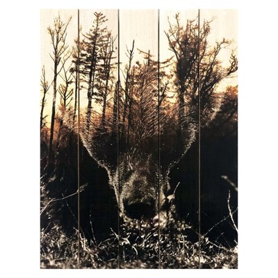 Картина для бани, тематика животные "Таёжный зверь", МАССИВ, 40×30 см - фото 1675949