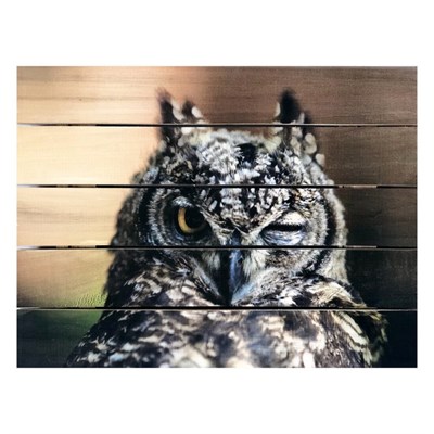 Картина для бани, тематика животные "Сова подмигивает", МАССИВ, 40×30 см - фото 1675973