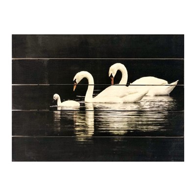Картина для бани, тематика животные "Семья лебедей", МАССИВ, 40×30 см - фото 1675978