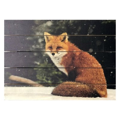 Картина для бани, тематика животные "Одинокий лис", МАССИВ, 40×30 см - фото 1675979
