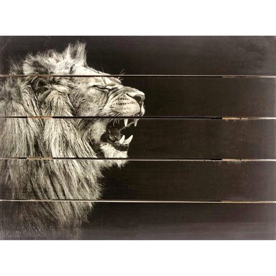 Картина для бани, тематика животные "Львиный рык", МАССИВ, 40×30 см - фото 1675983