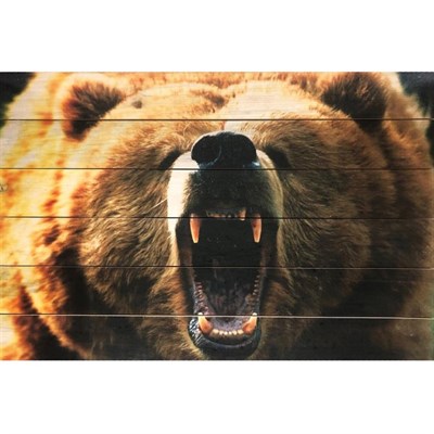 Картина для бани "Бурый медведь", МАССИВ, 40×60 см - фото 1676045