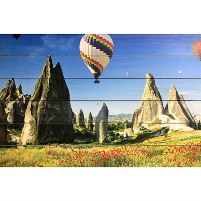 Картина для бани "Аэростат в полях", МАССИВ, 40×60 см - фото 1676064