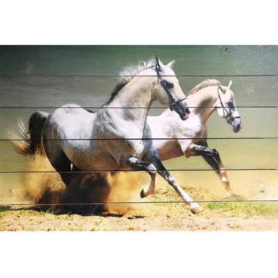 Картина для бани "Бегущие белые лошади", МАССИВ, 40×60 см - фото 1676068
