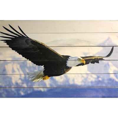 Картина для бани "Парящий горный орел", МАССИВ, 40×60 см - фото 1676069