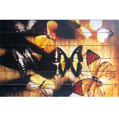 Картина для бани "Бабочки в тепле", МАССИВ, 40×60 см - фото 1676070