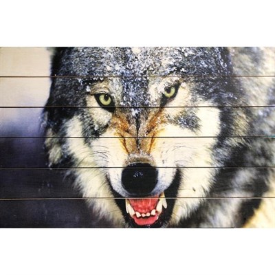Картина для бани "Волчий оскал", МАССИВ, 40×60 см - фото 1676073