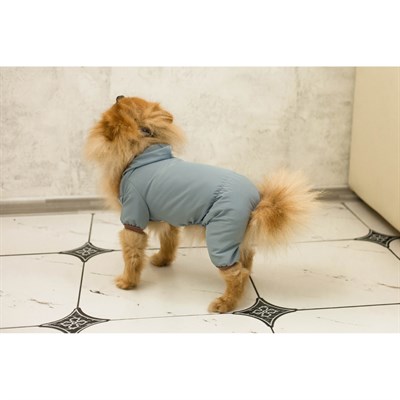 Комбинезон серый, размер XL (ДС 32-34 см, ОШ 32 см, ОГ 40-44 см) - фото 1780574