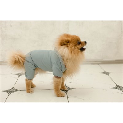 Комбинезон серый, размер XL (ДС 32-34 см, ОШ 32 см, ОГ 40-44 см) - фото 1780575