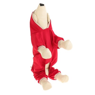 Комбинезон  для собак, размер XL (ДС 32-34 см, ОШ 32 см, ОГ 46-48 см), красный - фото 1780580