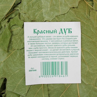 Веник для бани из красного дуба - фото 1901394