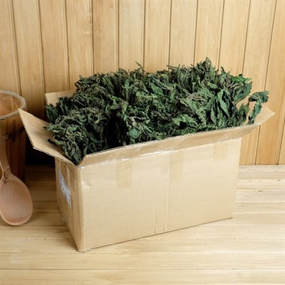 Набор веников для бани из крапивы, в коробке, 10 шт - фото 1910446