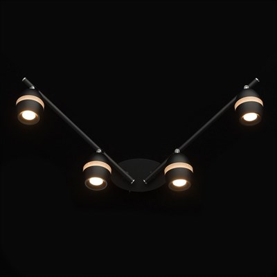 Светильник "Этингер" 4x4Вт LED 3000K черный 62x68x17см - фото 2001007