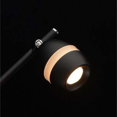 Светильник "Этингер" 4x4Вт LED 3000K черный 62x68x17см - фото 2001012