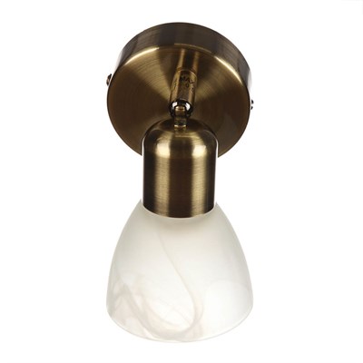 Спот "Терри" 1x40Вт E14 бронза - фото 2001482