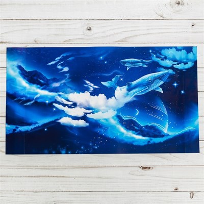 Набор обложек для книг «Космос», 3 шт, 43×24 см - фото 2002328