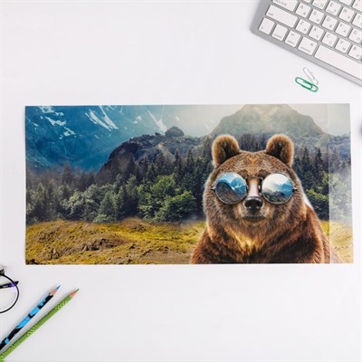 Обложка со вставками «Животные», 30×50 см - фото 2002540