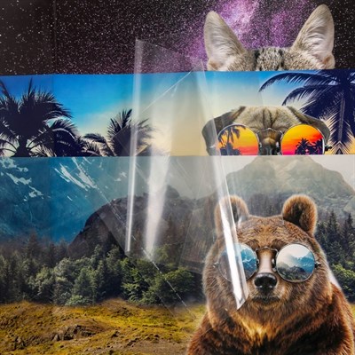 Обложка со вставками «Животные», 30×50 см - фото 2002543