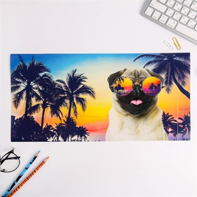 Обложка со вставками «Животные», 21.5×40 см - фото 2002561