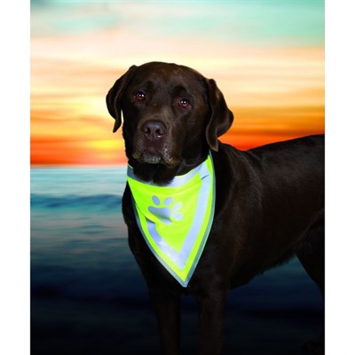 Бандана Trixie со светоотражающим рисунком, S-M, 29-42 см, 20 мм - фото 2004984