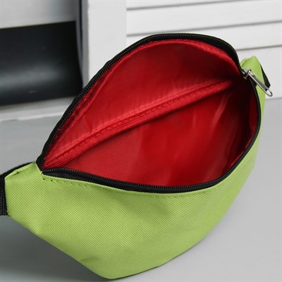 Сумка поясная, отдел на молнии, регулируемый ремень, цвет салатовый - фото 2005261