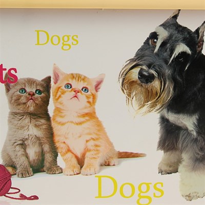 Таз "Кот и пёс" универсальный, 52 х 36,5 х 23,5 см, 30 л - фото 2005519