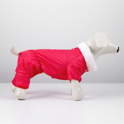 Комбинезон зимний с меховым воротником, M (ДС 24-26 см, ОШ 28 см, ОГ 34-36 см) красный - фото 2018496