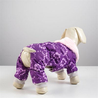 Комбинезон "Тандем", XS (ДС 18-20 см, ОШ 24 см, ОГ 27-30 см) микс цветов - фото 2018607