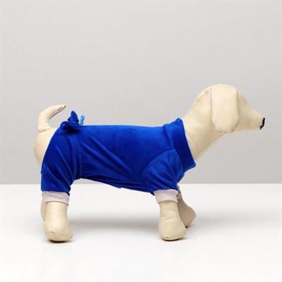 Комбинезон велюр, размер S (ДС 20-22 см, ОШ 26см, ОГ 30-34 см)  МИКС ЦВЕТОВ - фото 2018791