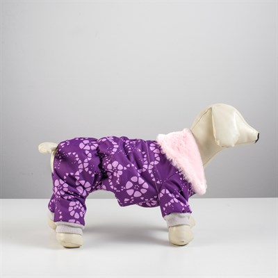 Комбинезон "Тандем", XL (ДС 32-34 см, ОШ 32 см, ОГ 40-44 см) микс цветов - фото 2019559