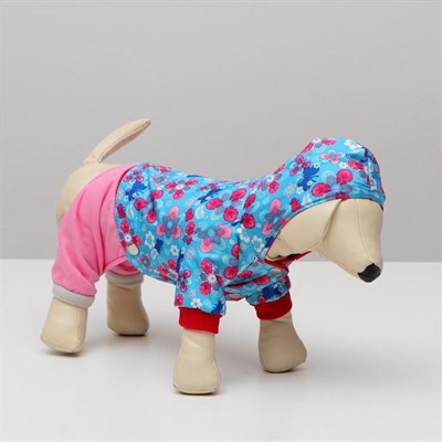 Комбинезон для собак трансформер, S (дс 20-22 см, ош 26 см,  ог 32-34 см), микс - фото 2019565