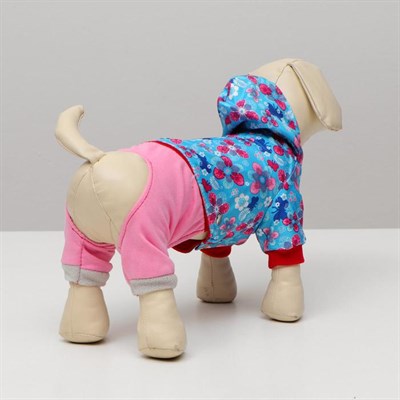 Комбинезон для собак трансформер, S (дс 20-22 см, ош 26 см,  ог 32-34 см), микс - фото 2019567