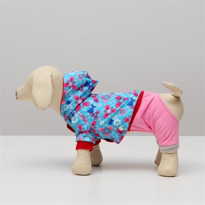 Комбинезон для собак трансформер, S (дс 20-22 см, ош 26 см,  ог 32-34 см), микс - фото 2019568