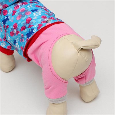 Комбинезон для собак трансформер, S (дс 20-22 см, ош 26 см,  ог 32-34 см), микс - фото 2019569