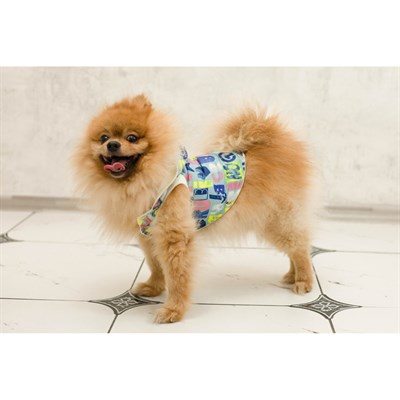 Комбинезон для собак трансформер, S (дс 20-22 см, ош 26 см,  ог 32-34 см), микс - фото 2019571