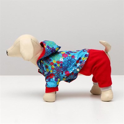 Комбинезон для собак трансформер, M (дс 24-26 см, ош 28 см, ог 34-36 см), микс - фото 2019576