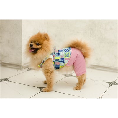 Комбинезон для собак трансформер, XS ( дс 18-20 см,  ош 24 см, ог 27-30 см), микс - фото 2019604