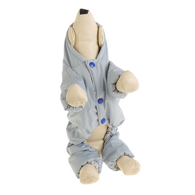 Комбинезон для собак с помпоном, размер 2XL (ДС 34-36 см, ОШ 34-36 см, ОГ 44-48 см) - фото 2019624