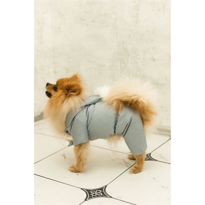 Комбинезон для собак с помпоном, размер 2XL (ДС 34-36 см, ОШ 34-36 см, ОГ 44-48 см) - фото 2019629