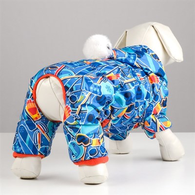 Комбинезон "Принт" с помпоном для собак, XL (ДС 32-34 см, ОШ 32 см, ОГ 40-44 см) микс - фото 2019741